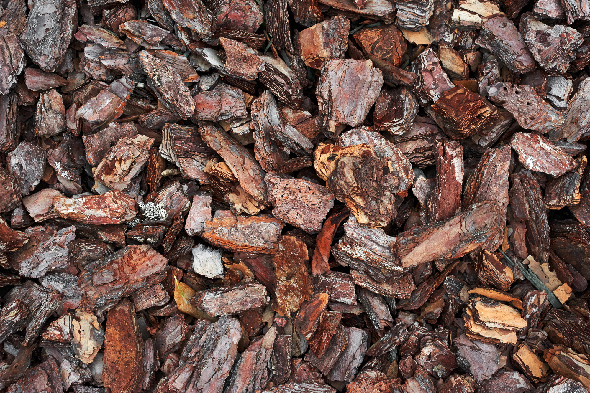 Naravno lubje kot estetski dodatek in velika podpora za rast rastlin